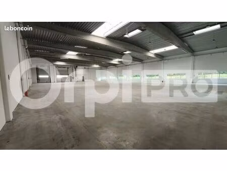 local d'activité 1 333 m²