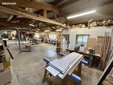 local d'activité 565 m²