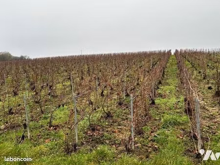 terrain 1113 m² vandieres