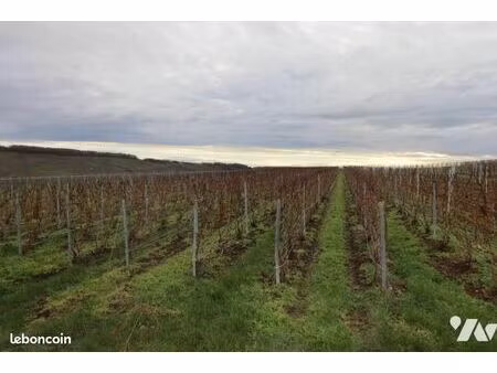 terrain 2001 m² vandieres