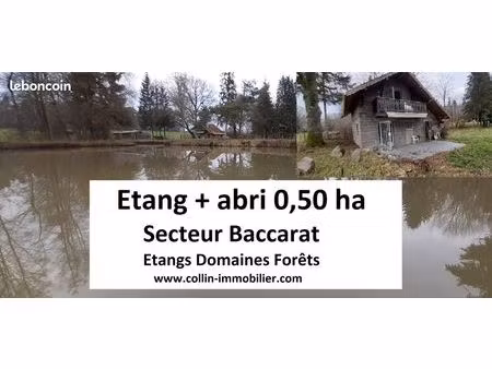 terrain 5000 m² baccarat
