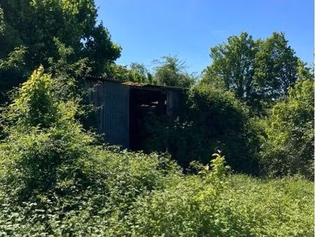 terrain agricole à louer