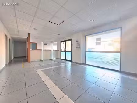 bureaux  local commercial 207 m² fronton