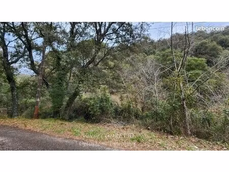 terrain 41 460 m² collobrieres