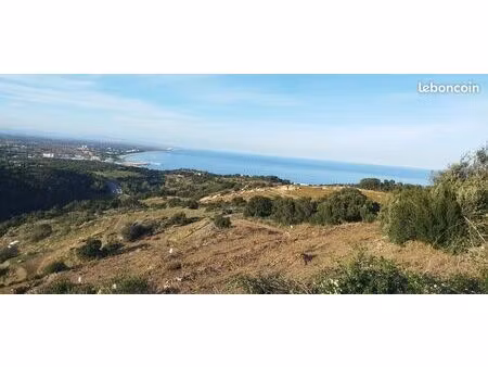 vente vigne collioure