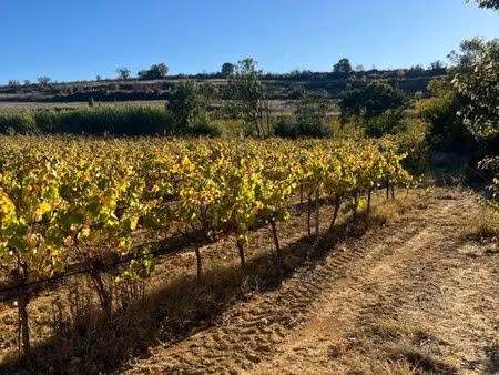 vends terrain agricole