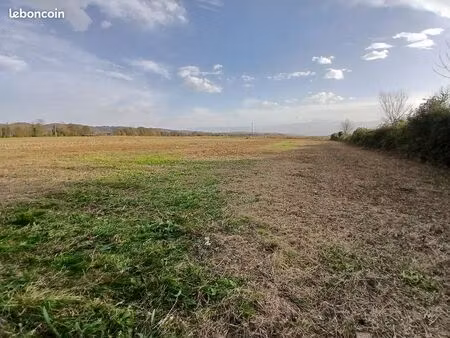 terrain non constructible 2500m2