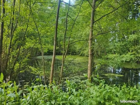 terrain 4 985 m² glenay