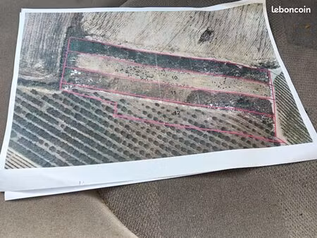 vente terrain agricole