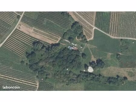 terrain primaire au coeur de l'alsace