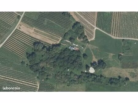 terrain primaire au coeur de l'alsace non constructible