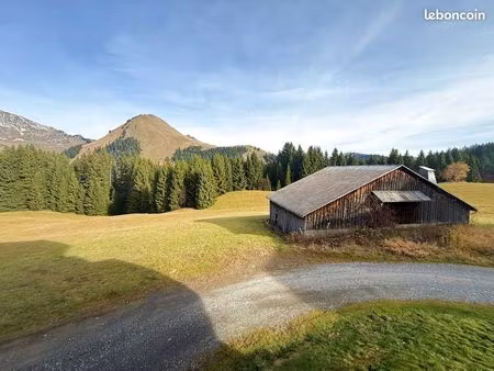 studio 1 pièce 17 m²