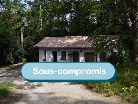 terrain 24135 m² grisolles