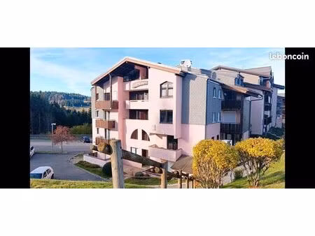 studio 1 pièce 18 m²