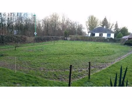 beau terrain plat de 1000m2 à vendre à vieux-manoir (76750)