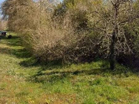 terrain illfurth faire offre