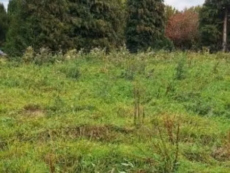 terrain 701 m² saint jean du cardonnay