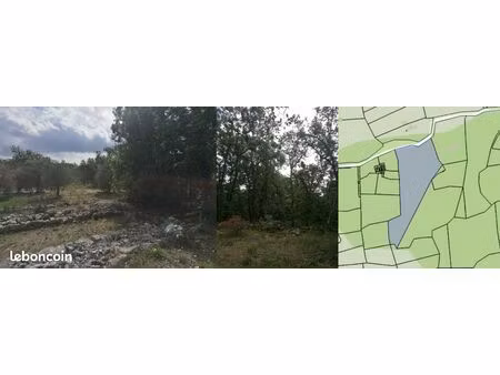 terrain agricole 10445 m2 (~1 hectare)