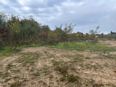 vente terrain 1300 m² à castres-gironde (33640)  70 000 €