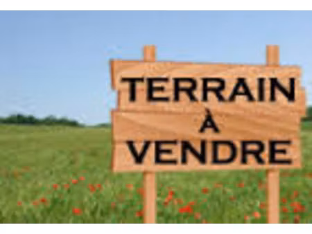 vente terrain 1134 m² à chaudefonds-sur-layon (49290)  45 000 €