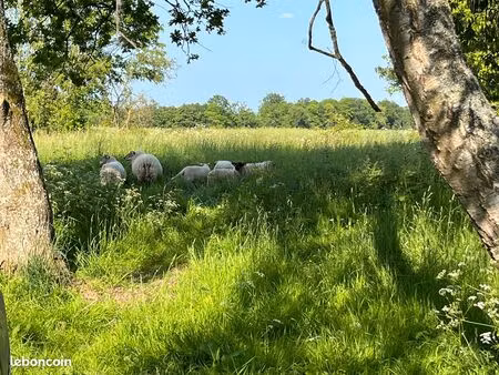 terrain à bâtir de 4982m² hameau de cauvicourt