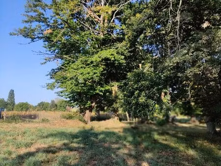 location pré avec abri . cheval