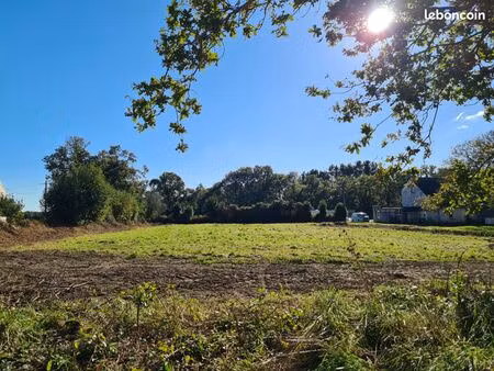 terrain viabilisé 562m²