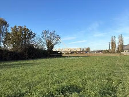 terrain 1316 m² merville