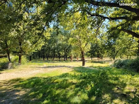 terrain constructible