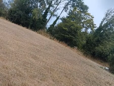 terrain 4901 m² glanges