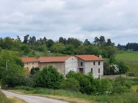 maison avec grandes dépendances