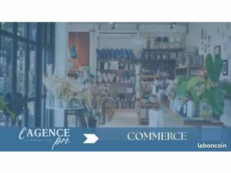 local commercial 80 m² auray