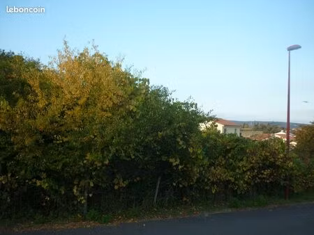 terrain 1076 m² champeix