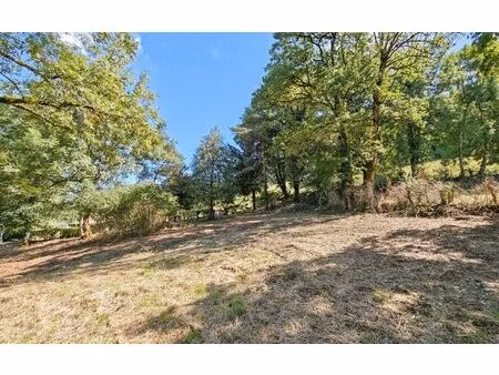 terrain jussac m² t- à vendre  56 000 €