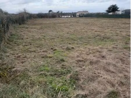 loue terrain marseillan (34) 1.500m2