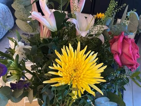 terrain constructible 5100m2 chadrac