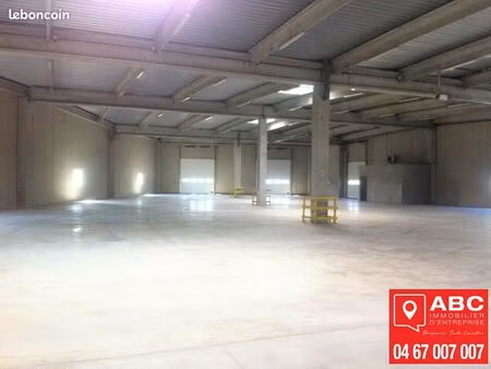 local d'activité 1 200 m²