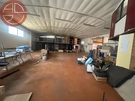 vente locaux professionnels 1315 m² à aucamville (31140)  950 000 €