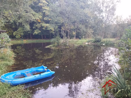 terrain 4 63 ha avec 4 étangs au calme