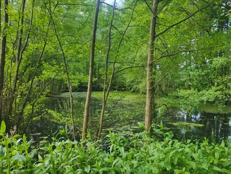 terrain de loisirs avec etang et bois à vendre glenay (79) 4985 m²