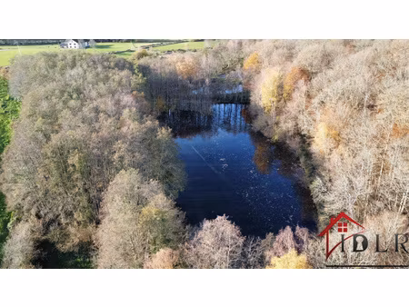 terrain 4 63 ha avec 4 étangs au calme