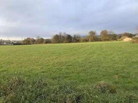 terrain constructible viabilisé à vendre