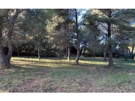 terrain ollioules m² t- à vendre  265 000 €