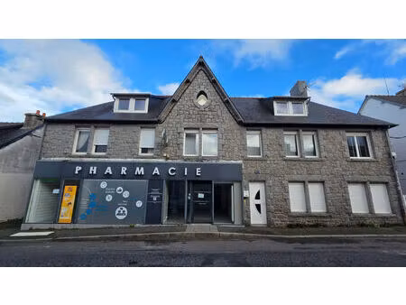 immeuble 389 m2 avec local commercial  maison  appartement