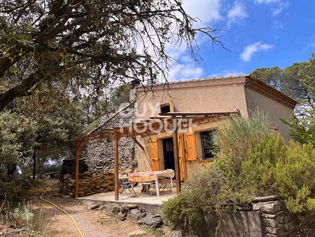 à vendre : charmante maison à cesseras - opportunité à saisir - référence 445