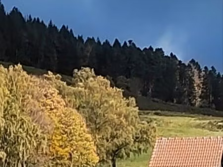 cherche maison à louer avec terrain