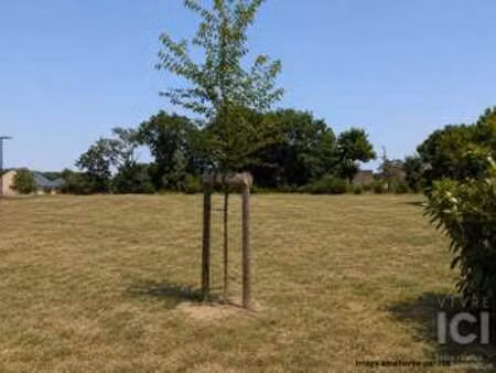 vente terrain à grandchamps-des-fontaines (44119) : à vendre / 420m² grandchamps-des-fonta