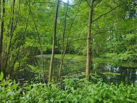 vente terrain à glénay (79330) : à vendre / 4985m² glénay