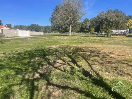 terrain constructible