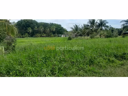 a vendre terrain à morne-a-l'eau